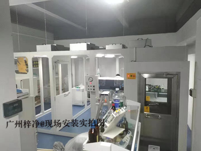 传递窗、洁净棚、洁净工作台搭配效果  的详细分析